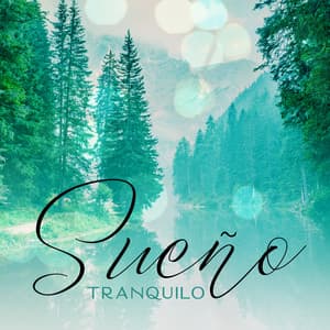 Sueño Tranquilo: Música Relajante para Dormir, Música para Curar el Insomnio, Hermosas Melodías de Piano, Sonidos Naturales del Agua, Olas del Mar, Canto de Pájaros, Bosque - Naturaleza Sonidos