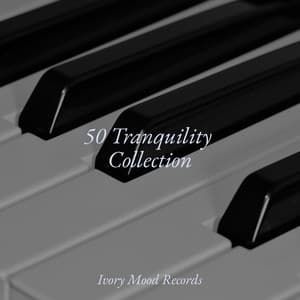 50 Tranquility Collection - Ivory Mood