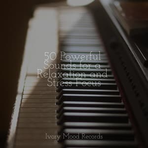 50 Powerful Sounds for a Relaxation and Stress Focus - Ivory Mood