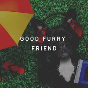 Good Furry Friend - Dog Calming Music