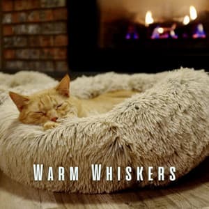 Warm Whiskers: Comforting Crackling Bonfire Sounds for Cats - Bubbled White Noise Fire Sounds