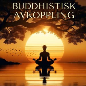 Buddhistisk avkoppling - Maha Devenson