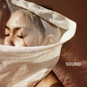 Sacred Flow of Manifestation - Sound Therapy Masters