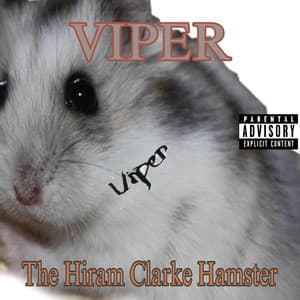 The Hiram Clarke Hamster - Viper