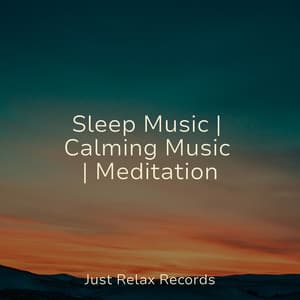 Sleep Music | Calming Music | Meditation - Instrumental