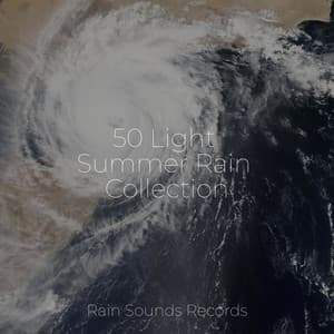 50 Light Summer Rain Collection - Ambiente