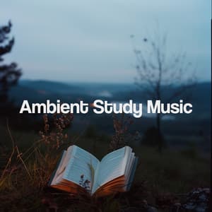 Ambient Study Music - Kundalini: Yoga, Meditation, Relaxation