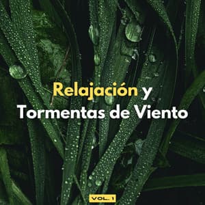 Relajación Y Tormentas De Viento Vol. 1 - Tormentas