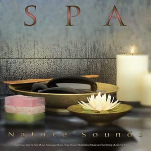 Spa: Piano and Nature Sounds and Bird Sounds For Spa Music, Massage Music, Yoga Music, Meditation Music and Soothing Music For Relaxation - Spa