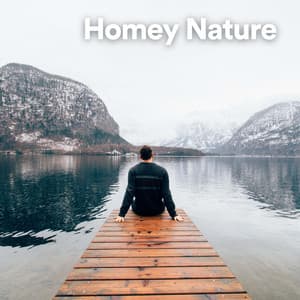 Homey Nature - Weather Sounds