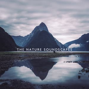 The Nature Soundscapes - Emerald Misty