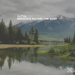 Adequate Nature for Sleep - Essential Nature Sounds