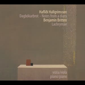 Dagbókarbrot - Steinunn Birna Ragnarsdóttir