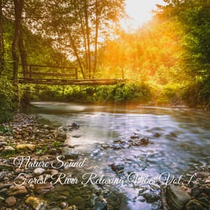 Nature Sound: Forest River Relaxing Vibes Vol. 1 - Nature's Noise