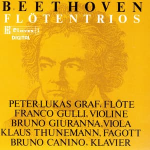 Beethoven: Trio WoO 37 & Serenade Op. 25 - Ludwig van Beethoven
