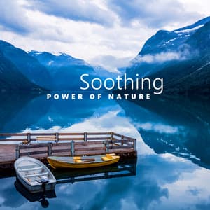 Soothing Power of Nature - Academy of Powerful Music with Positive Energy