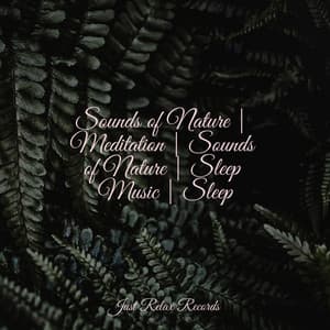Sounds of Nature | Meditation | Sounds of Nature | Sleep Music | Sleep - Healing Yoga Meditation Music Consort