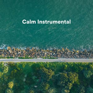 Calm Instrumental - Spa Music Relaxation Therapy