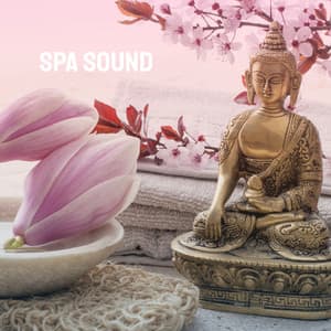Spa Sound - Relaxation And Meditation