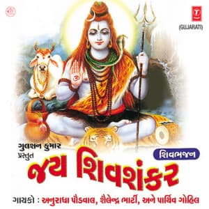 Jai Shiv Shankar - Anuradha Paudwal