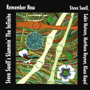 Remember Now - Steve Swell