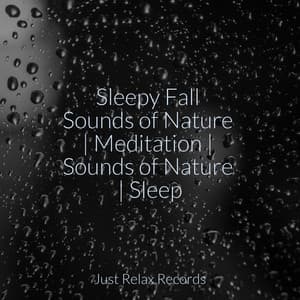 Sleepy Fall Sounds of Nature | Meditation | Sounds of Nature | Sleep - ASMR HD