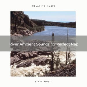 River Ambient Sounds for Perfect Nap - Wonderful Escape