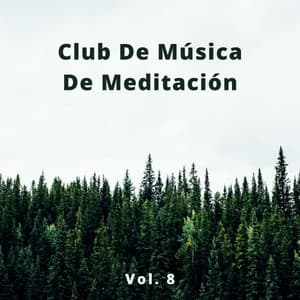 Club De Música De Meditación, Vol. 8 - Relajante