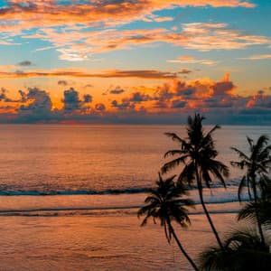 Study Breaks: Ocean Melodies Bliss - Ocean Of White Noise