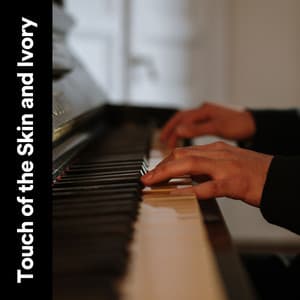 Touch of the Skin and Ivory - Piano Calm