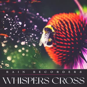 Whispers Cross - Rain Recorders