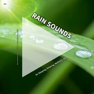 #01 Rain Sounds for Sleeping, Relaxing, Wellness, Zen - Rain Sounds by Thimo Harrison
