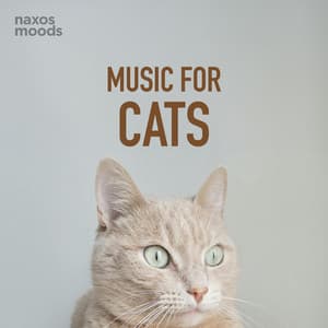 Music for Cats - Wolfgang Amadeus Mozart