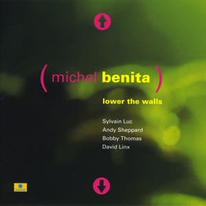 Lower the Walls - Michel Benita
