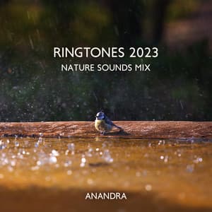 Ringtones 2023: Nature Sounds Mix, Birds, Waves, Rain, Calming Water - Anandra