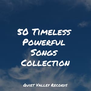 50 Timeless Powerful Songs Collection - Forest Soundscapes