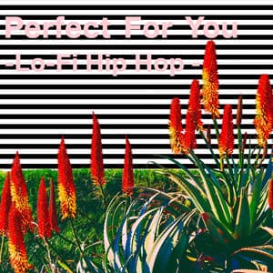 Perfect For You-Lo -Fi Hip Hop - - LO-FI CHILL