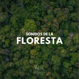 Sonidos de la Floresta - Sonido Del Bosque y Naturaleza