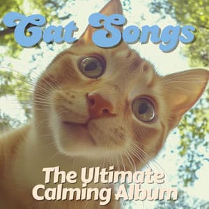 Cat Songs - The Ultimate Calming Album - RelaxMyCat