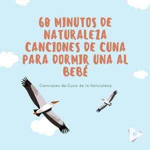 60 Minutos de Naturaleza Canciones de Cuna Para Dormir una al Bebé - Canciones de Cuna de la Naturaleza