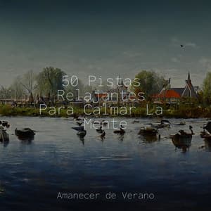 50 Pistas Relajantes Para Calmar La Mente - Sonido de lluvia