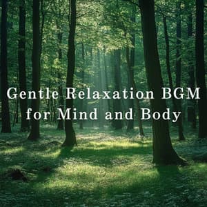 Gentle Relaxation BGM for Mind and Body - Relax α Wave