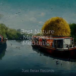 Best Nature Melodies | Meditation - Kinderliederbande