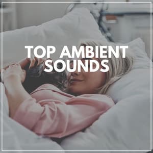 Top Ambient Sounds - Mind of Peace