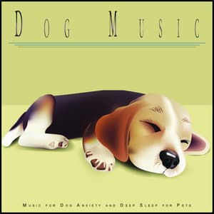 Dog Music: Music for Dog Anxiety and Deep Sleep for Pets - Dog Music