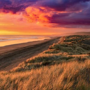 50 Calming Nature Vibes: Connecting With The Elements - Baltic Nature Sounds