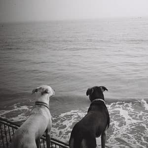 Death, Infinity and Zero - Armen Nalbandian