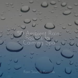 50 Ambient Rain Sounds for Calming Spa - Musica Para Estudiar Academy