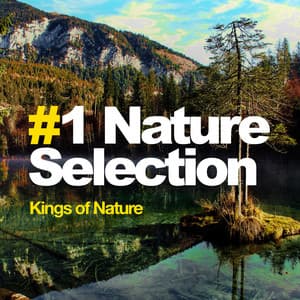 #1 Nature Selection - Kings of Nature