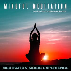 Mindful Meditation: Calm Piano Music For Meditation and Relaxation - Meditation Music Experience